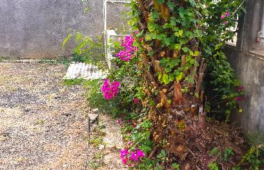 Villa /en/au Pereybere (Pereybere)ou appartement ou maison de vacances