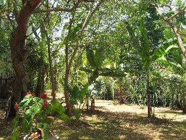 Maison de vacances �/en/au Tangalle (Hambantota)ou appartement ou maison de vacances