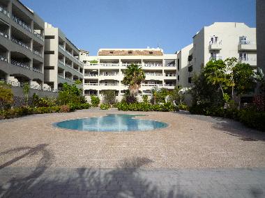 Appartement de vacances �/en/au  Los Cristianos Palm Mar (Teneriffa)ou appartement ou maison de vacances