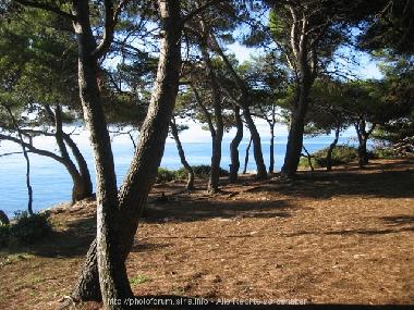 Appartement de vacances �/en/au Pula (Istarska)ou appartement ou maison de vacances