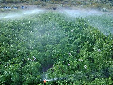 Villa /en/au Teror (Gran Canaria)ou appartement ou maison de vacances