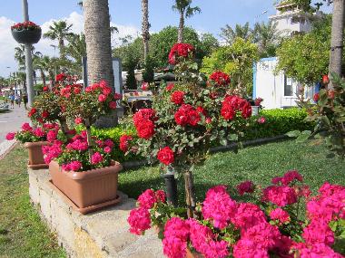 Appartement de vacances �/en/au Yali  Mahhalesi (Antalya)ou appartement ou maison de vacances