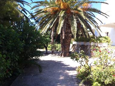 Maison de vacances /en/au Alinda (Dodekanisos)ou appartement ou maison de vacances