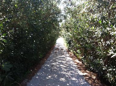 Maison de vacances /en/au Alinda (Dodekanisos)ou appartement ou maison de vacances