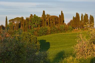 Appartement de vacances /en/au Montaione (Firenze)ou appartement ou maison de vacances