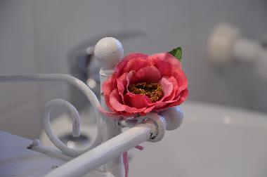 Appartement de vacances /en/au Montaione (Firenze)ou appartement ou maison de vacances