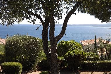 la vue du balcon de la maison