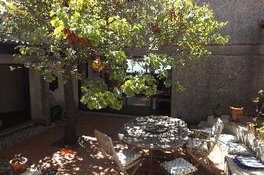 le patio et sur la gauche le sas et la porte d