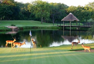 Maison de vacances �/en/au Phalaborwa (Northern Province)ou appartement ou maison de vacances