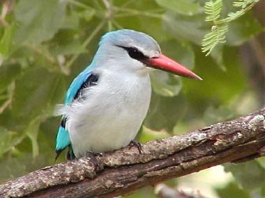 Maison de vacances �/en/au Phalaborwa (Northern Province)ou appartement ou maison de vacances