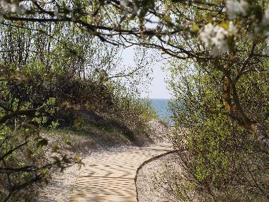 Appartement de vacances �/en/au Liepaja (Lettland)ou appartement ou maison de vacances