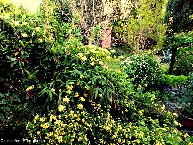 Appartement de vacances /en/au Arcugnano (Vicenza)ou appartement ou maison de vacances