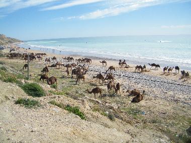 Maison de vacances �/en/au tamraght (Agadir)ou appartement ou maison de vacances