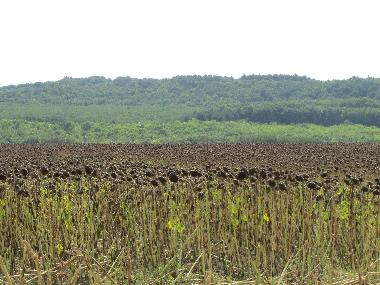 Villa �/en/au Botevo (Yambol)ou appartement ou maison de vacances