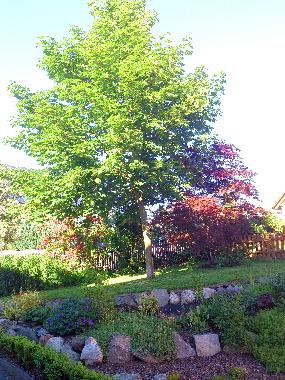 Appartement de vacances /en/au Vohenstrau (Oberpfalz)ou appartement ou maison de vacances