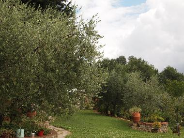 Appartement de vacances /en/au Firenze (Firenze)ou appartement ou maison de vacances