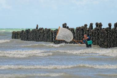 p�che au grand filet