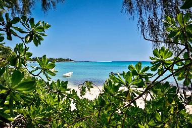 Maison de vacances �/en/au Pointe aux Canonniers (Grand Baie)ou appartement ou maison de vacances