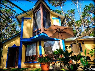 Maison de vacances /en/au Punta del este (Maldonado)ou appartement ou maison de vacances