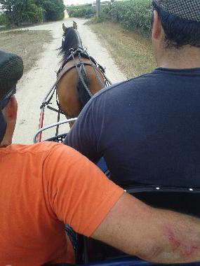 Maison de vacances �/en/au Palmela (Pen�nsula de Set�bal)ou appartement ou maison de vacances