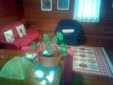 Maison de vacances �/en/au Palmela (Pen�nsula de Set�bal)ou appartement ou maison de vacances