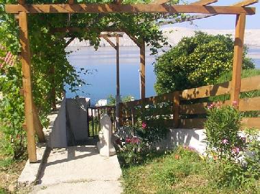 Maison de vacances /en/au Miskovici (Zadarska)ou appartement ou maison de vacances