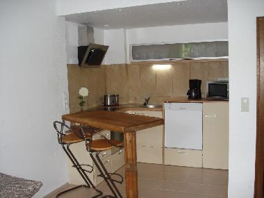Appartement de vacances /en/au Mhlbach (Pinzgau-Pongau)ou appartement ou maison de vacances