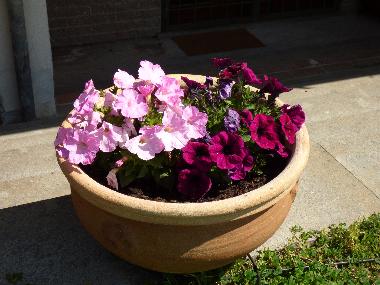 Appartement de vacances �/en/au Campagnano di Roma (Roma)ou appartement ou maison de vacances