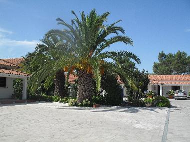 Chambre avec petit d�jeuner �/en/au Fernao Ferro, Seixal (Pen�nsula de Set�bal)ou appartement ou maison de vacances