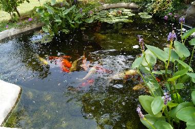 Appartement de vacances �/en/au Banjole-Medulin-Pula-Istrien-Kroatien (Istarska)ou appartement ou maison de vacances