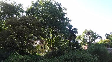 Appartement de vacances /en/au Sintra (Grande Lisboa)ou appartement ou maison de vacances