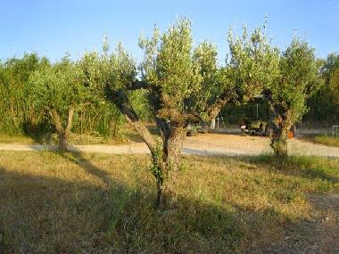 Maison de vacances �/en/au Beniarbeig (Alicante / Alacant)ou appartement ou maison de vacances