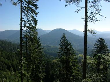 Chalet /en/au SENONES (Vosges)ou appartement ou maison de vacances