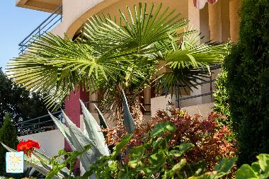 Appartement de vacances �/en/au Bar-Utjeha (Mont�n�gro)ou appartement ou maison de vacances