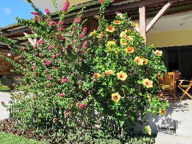 Maison de vacances �/en/au La Gaulette (Black River)ou appartement ou maison de vacances