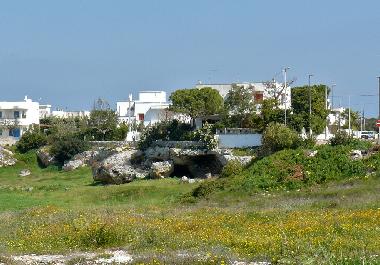 Villa /en/au Carovigno (Brindisi)ou appartement ou maison de vacances