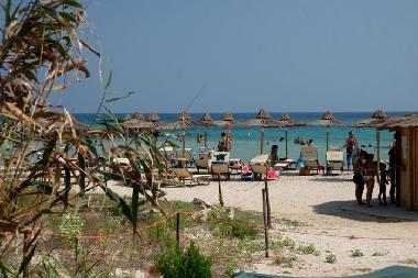 Villa /en/au Carovigno (Brindisi)ou appartement ou maison de vacances