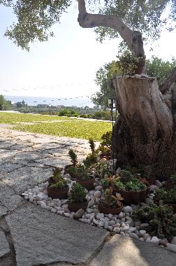 Maison de vacances /en/au Nea Skioni (Chalkidiki)ou appartement ou maison de vacances