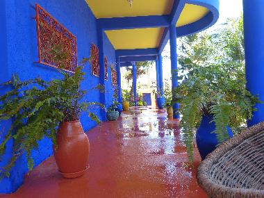 Villa �/en/au CANOA QUEBRADA (Ceara)ou appartement ou maison de vacances