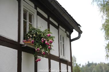 Maison de vacances /en/au Jonsdorf (Oberlausitz / Niederschlesien)ou appartement ou maison de vacances