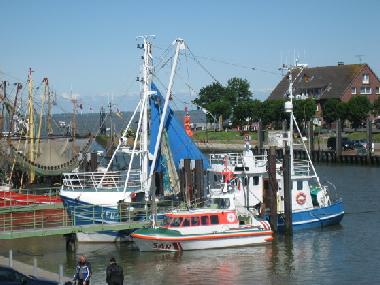 Maison de vacances /en/au Eckwarderhrne (Nordsee-Festland / Ostfriesland)ou appartement ou maison de vacances