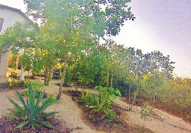 Maison de vacances �/en/au Hidden! (Ceara)ou appartement ou maison de vacances