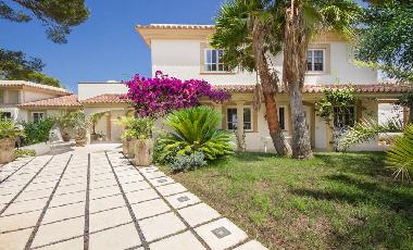 Villa /en/au Andratx (Mallorca)ou appartement ou maison de vacances