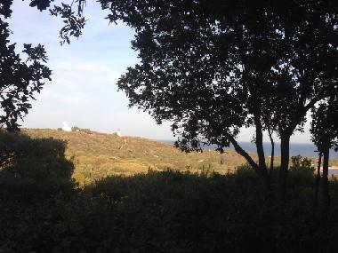 Maison de vacances /en/au Porto Vecchio (Corse-du-Sud)ou appartement ou maison de vacances