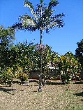 Chambre avec petit d�jeuner �/en/au Maric� (Rio de Janeiro)ou appartement ou maison de vacances