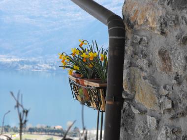 Appartement de vacances �/en/au  Gravedona ed Uniti (Como)ou appartement ou maison de vacances