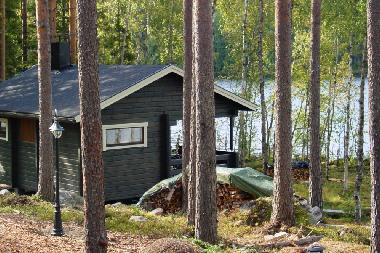 Maison de vacances �/en/au Parkano (Lansi-Suomen Laani)ou appartement ou maison de vacances