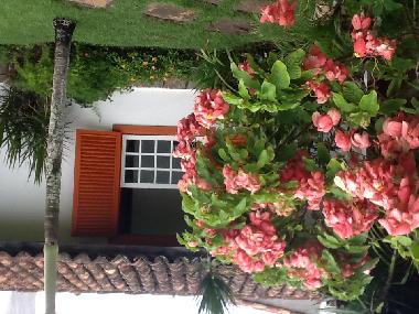 Maison de vacances �/en/au Buzios (Rio de Janeiro)ou appartement ou maison de vacances