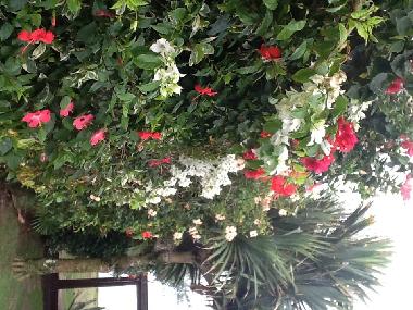 Maison de vacances �/en/au Buzios (Rio de Janeiro)ou appartement ou maison de vacances