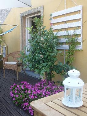 Appartement de vacances /en/au Acireale (Catania)ou appartement ou maison de vacances